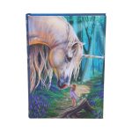 Fairy Whispers Journal (Lisa Parker) 17 cm